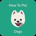 How to pet dogs