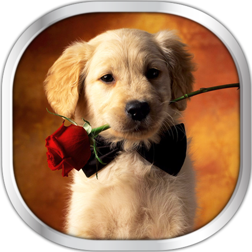 Dog Puppies Live Wallpaper