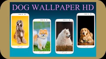 Dog Wallpaper HD Affiche