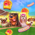 Doggy`s Home