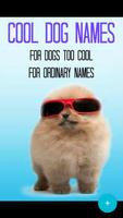 Funny Dog Quotes Affiche