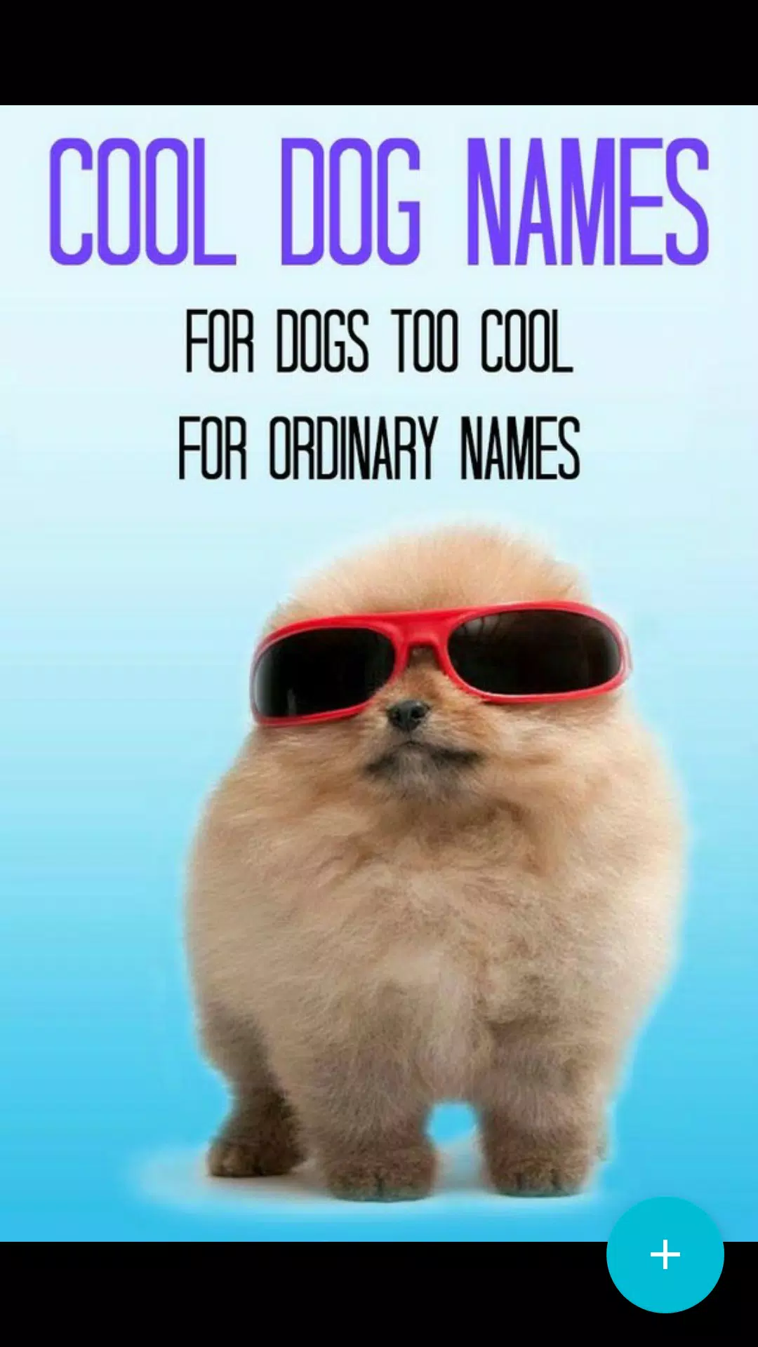 Funny Dog Quotes APK for Android Download Funny Dog Quotes APK for Android Download