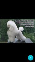 Funny Dog Quotes скриншот 3