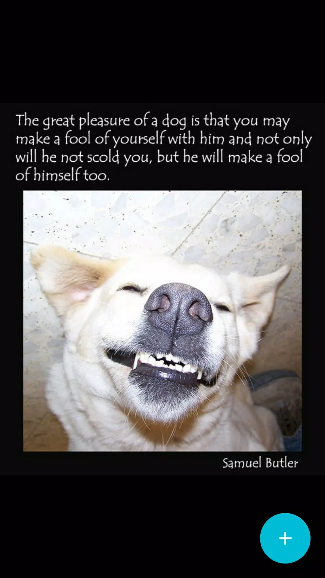 Funny Dog Quotes APK per Android Download Funny Dog Quotes APK per Android Download