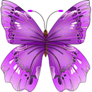 Butterfly Flower for DoodleText-APK