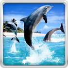 Dolphin HD Live Wallpaper আইকন