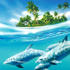 Dolphin Live Wallpaper 圖標