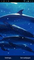 Dolphin Live Wallpaper পোস্টার