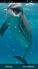 Dolphin Live Wallpaper APK download