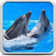 Dolphins Live Wallpaper APK download