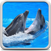 Delfiny Animowane Tapety