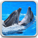 डाल्फिन वॉलपेपर APK