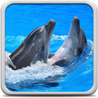 Dolphins Live Wallpaper آئیکن