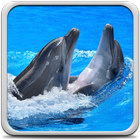 Icona Delfini Sfondi Animati