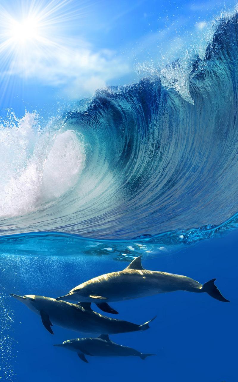 Дельфины Живые Обои Для Андроид - Скачать APK