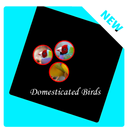Одомашненные Птицы APK