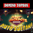 Topbos Domino Guide APK