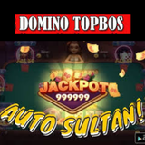 Topbos Domino Guide simgesi