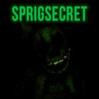 SpringSecret иконка