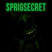 SpringSecret