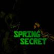 SpringSecret