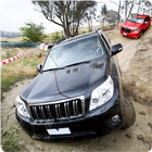 Icona Offroad Prado Driving