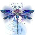 Dragonfly Walpaper HD