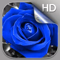 Blue Rose Live Wallpaper HD APK download