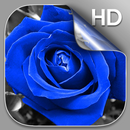 Niebieska Róża Tapety Na Żywo aplikacja