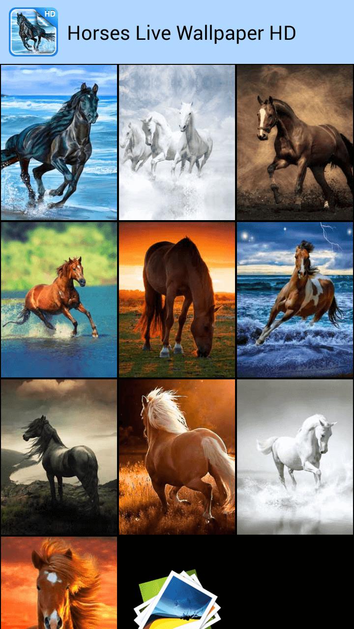 39 Pferde Hintergrundbilder Furs Handy Besten Bilder Von Ausmalbilder
