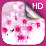 Sakura Fond D'écran Animé icône