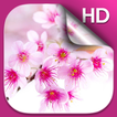 Sakura Live Wallpaper HD