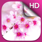 Sakura Live Wallpaper HD icon