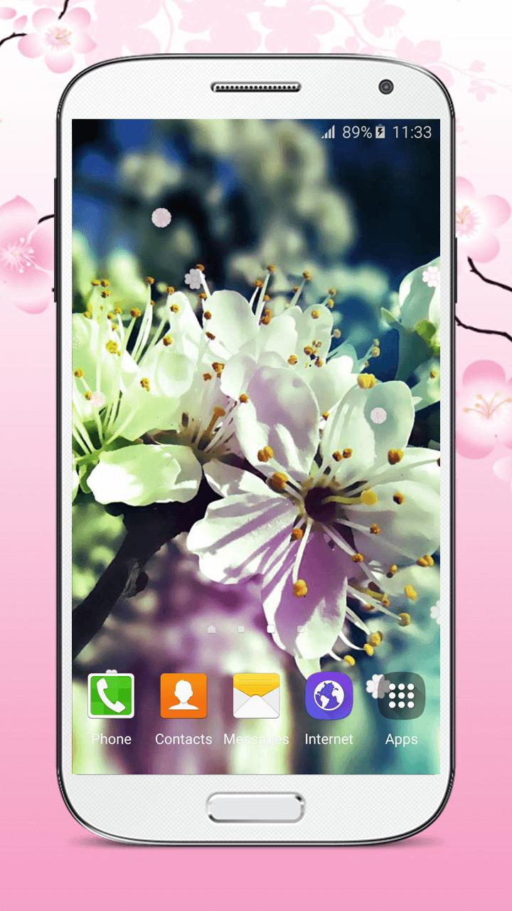  Bunga  Sakura  Wallpaper Animasi  for Android APK Download