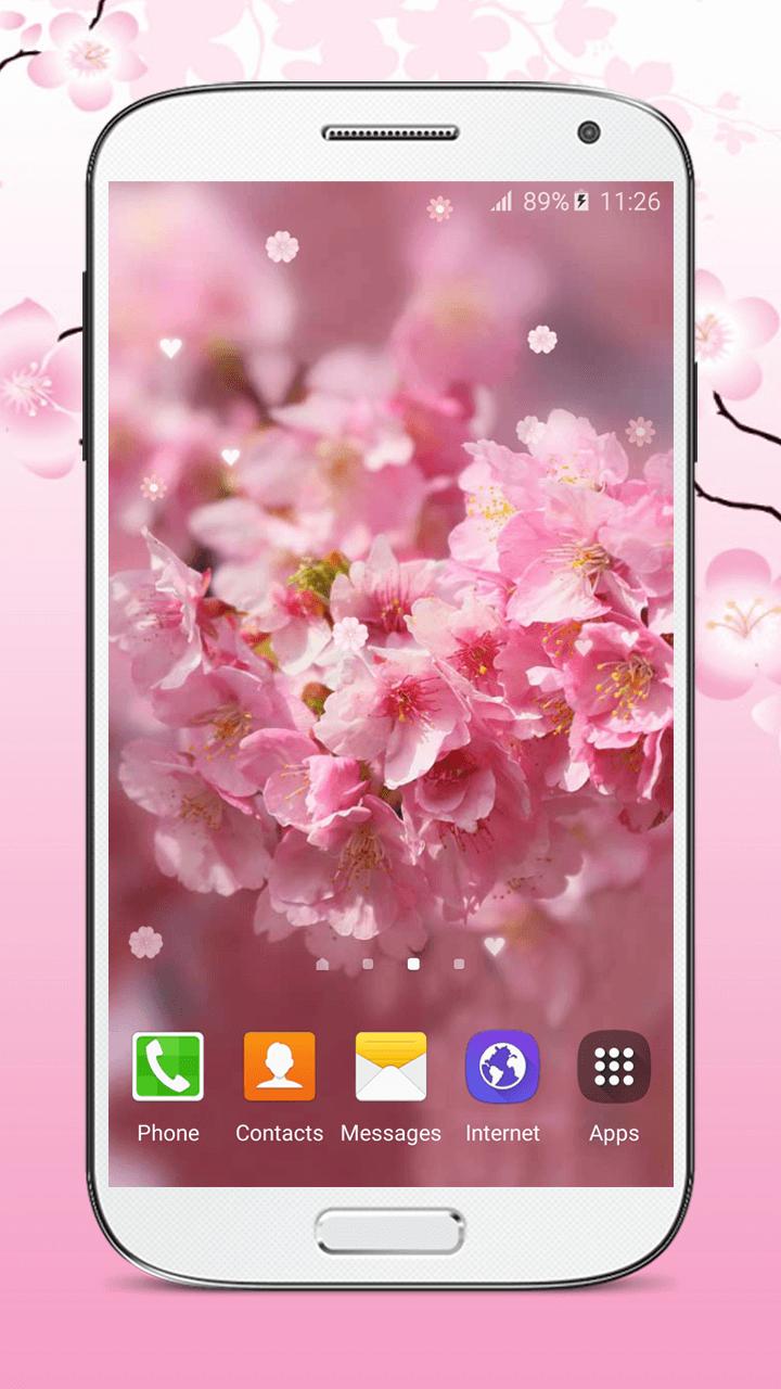  Bunga  Sakura  Wallpaper  Animasi  for Android APK Download