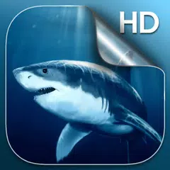 Shark Live Wallpaper APK download