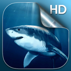 Requin Fond d'écran Animé icône