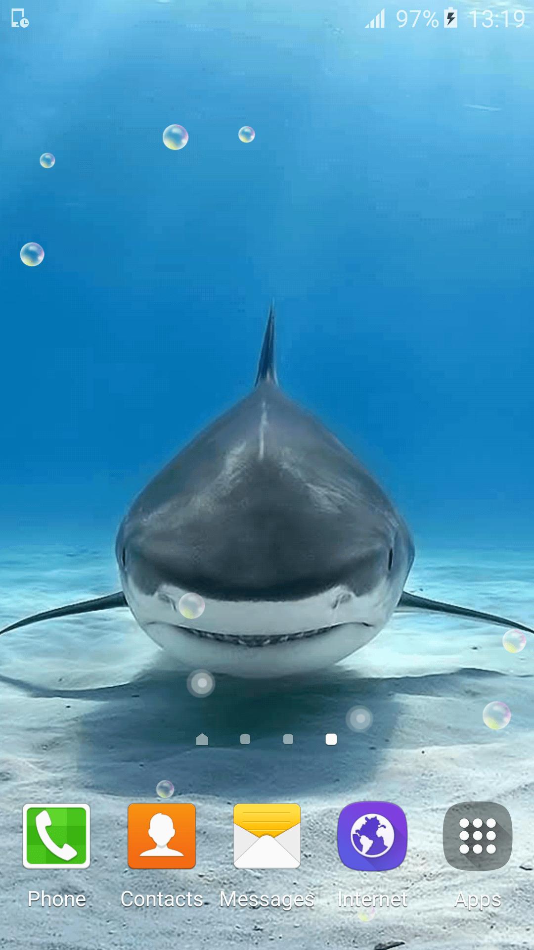 Download 400 Wallpaper Biru Hiu HD Terbaik Download 400 Wallpaper Biru Hiu HD Terbaik