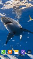 Cá Mập Hình Nền Động ảnh chụp màn hình 2