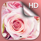 Roses Fond d'écran Animé icône
