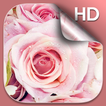 Pink Roses Live Wallpaper