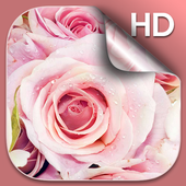 Pink Roses Live Wallpaper آئیکن