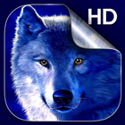 Wolf Live Hintergrund Zeichen