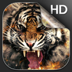 Tiger Live Hintergrund