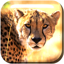 slow motion cheetah Live WP APK