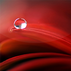 Drops Live Wallpaper simgesi
