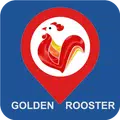 Golden Rooster