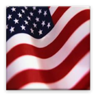 Spanish US Citizenship Exam ícone