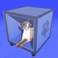 Strays Paradise