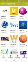 ኢትዮ ሳት Ethio Sat Ethiopian Tv Affiche